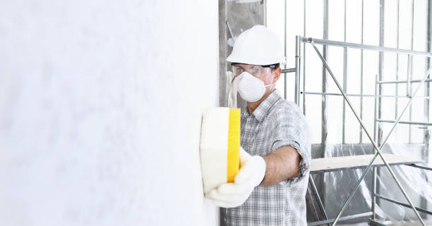 Why You Should Choose Our Mold Remediation Services in Omaha, TX